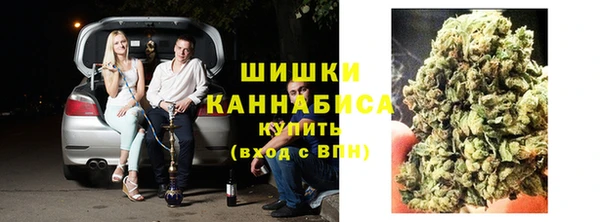 PSILOCYBIN Надым